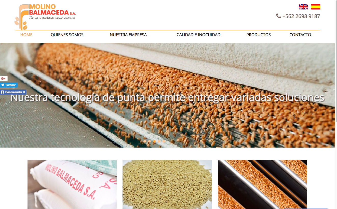 Harina de trigo exportacion Chile